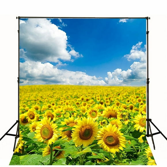 DORCEV 12x8ft Sunset Sky Sunflower Field Landscape Backdrop Beautiful Sunset Sky Photography Background Birthday Party Baby Shower Cake Table Banner Photo Studio Props Wallpaper DORCEV 12x8ft Sunset Sky Sunflower Field Landscape Backdrop Beautiful Sunset Sky Photography Background Birthday Party Baby Shower Cake Table Banner Photo Studio Props Wallpaper